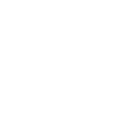 Alle Volte